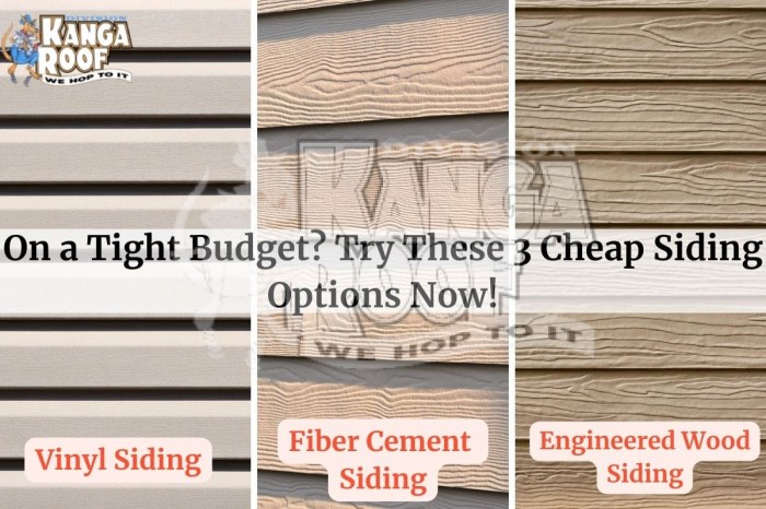 Cheap And Easy Siding Options at Frank Mauricio blog Cheap And Easy Siding Options at Frank Mauricio blog